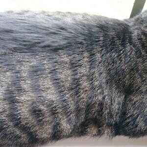 Meet your Posher, .....